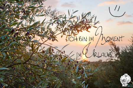 Ich bin von 30.04. - 17.05.2026 auf Urlaub!